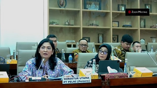 PELNI Ajukan PMN Rp3 Triliun untuk Beli 2 Kapal Baru, Seperti Apa Sih Bentuknya?