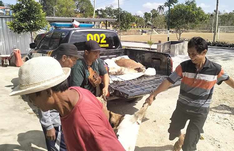 Gunungkidul Geger, 2 Pencuri Kambing Babak Belur Dihajar Massa