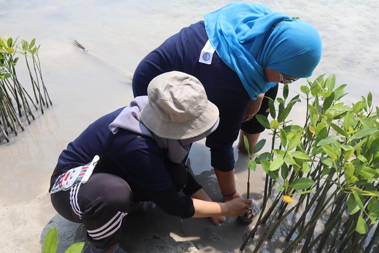 Wujudkan Bebas Emisi Karbon, BRI Kembali Tanam Bibit Mangrove di Pulau Tidung