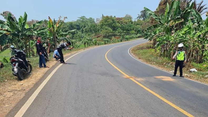 Kecelakaan di Lampung Timur, Pemotor Tewas Tertabrak Truk usai Gagal Menyalip
