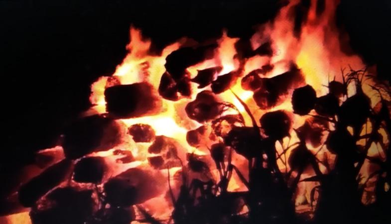 Pabrik Tripleks di Demak Ludes Terbakar, Kerugian Ditaksir Ratusan Juta Rupiah