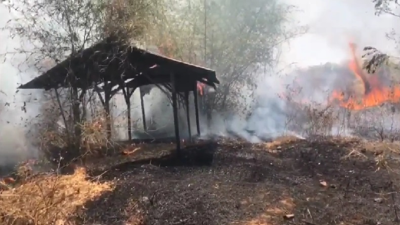 Lahan Kosong di 4 Kecamatan Terbakar Hebat, Petugas Damkar Cianjur Kerepotan
