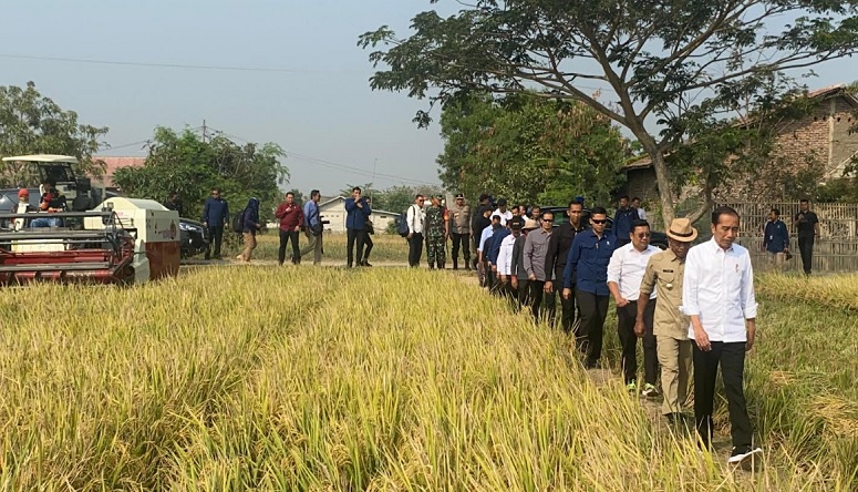 Presiden Jokowi Senang Panen Raya di Subang Capai 9 Ton per Hektare: Bisa Menambah Cadangan