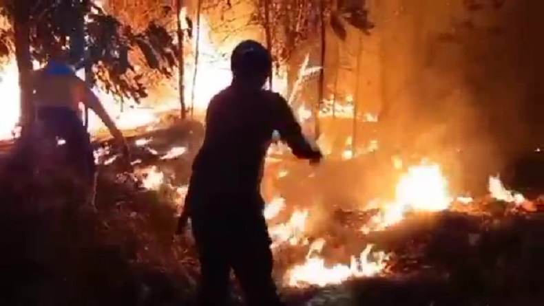 BMKG DIY Keluarkan Peringatan Dini Potensi Kebakaran Hutan dan Lahan