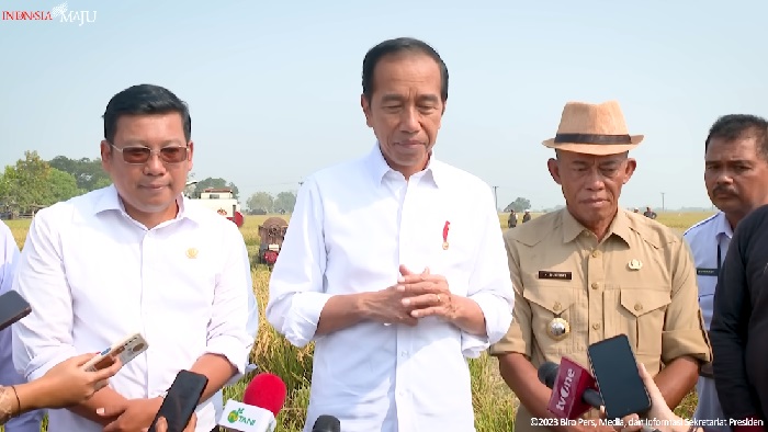 Harga Gabah Naik, Jokowi: Petani Senang, Pembeli Tidak