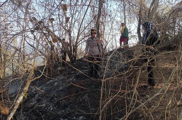 Polisi Pastikan Kebakaran Lahan di Kokap Kulonprogo dari Pembakaran Sampah