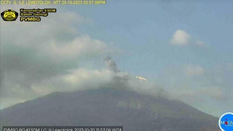 Gunung Ile Lewotolok Erupsi, Muntahkan Kolom Abu Setinggi 500 Meter