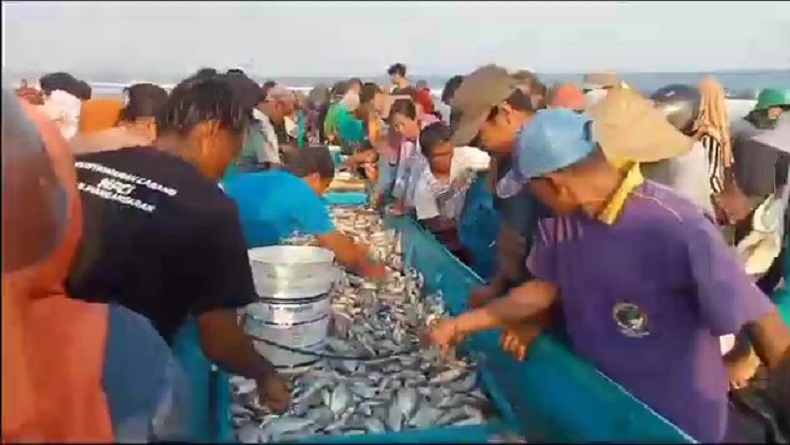 Lagi, Nelayan Pangandaran Ketiban Rezeki Nomplok, Sekali Jaring Dapat Ikan Berlimpah