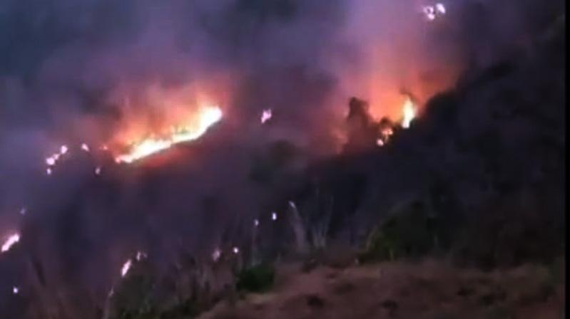 Puluhan Hektare Hutan Wisata Paralayang Giri Sembung Kulonprogo Terbakar