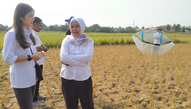 Caleg Partai Perindo Stefanie Laurensia Gelar Lomba Layang-layang di Tangerang