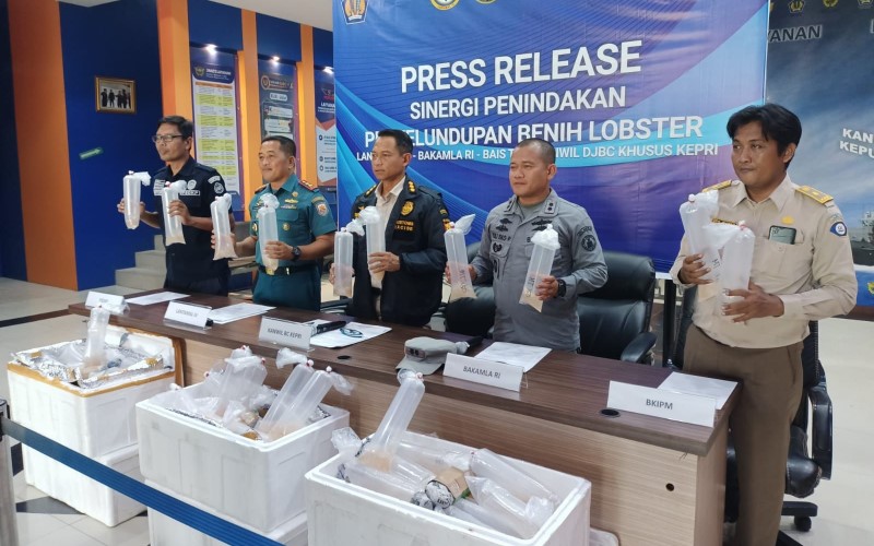 Bakamla Gagalkan Penyelundupan Benih Lobster Senilai Rp19 Miliar ke Malaysia