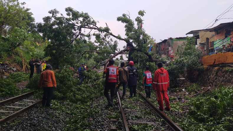 Pohon Tumbang Timpa Pelintasan Kereta Api di Cimahi, Perjalanan KA Terganggu