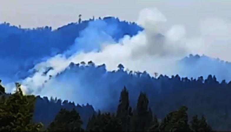 Kebakaran Gunung Merbabu Tersebar di 5 Dusun, Petugas Gabungan Berjibaku Padamkan Api