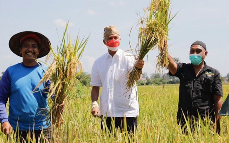 Harga Rokok Meningkat, Ganjar Pranowo: Petani Tidak Makmur!