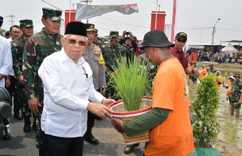 Wapres Ma'ruf Amin Dorong Optimalisasi Lahan Tidur untuk Pertanian