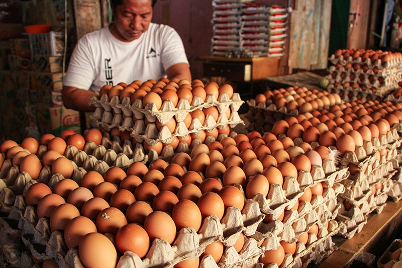 Harga Telur di Tingkat Peternak Anjlok, Bapanas Siap Intervensi 