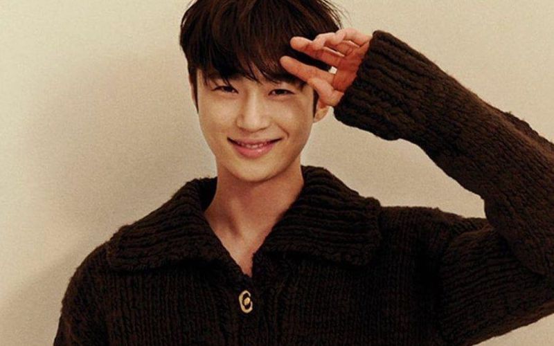 Profil dan Biodata Byeon Woo Seok, Aktor K-Pop Tampan Pemeran Ryu Si Oh di Strong Girl Namsoon 