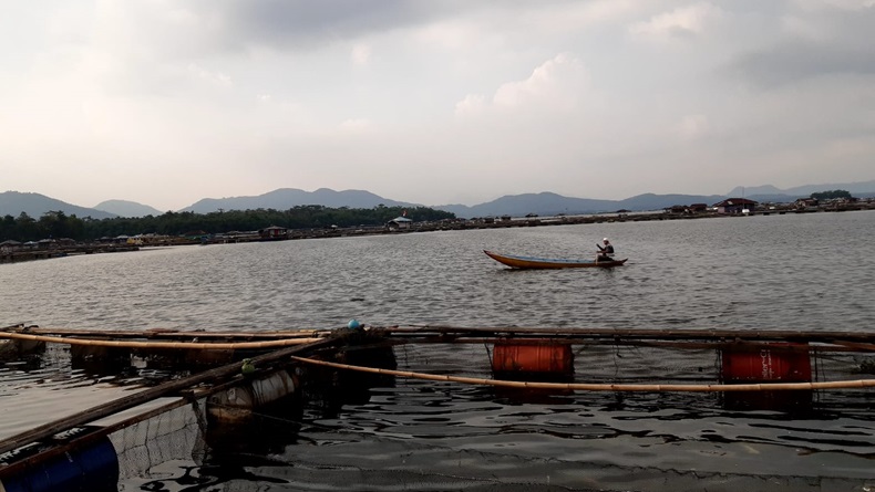 Banjir Kiriman Terjang KJA Waduk Cirata Cianjur, 50 Ton Ikan Ludes