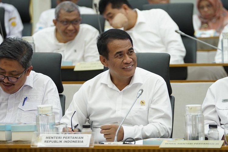 Mentan Dorong Jajarannya Turun Langsung ke Lapangan, Kejar Masa Tanam Beras dan Jagung