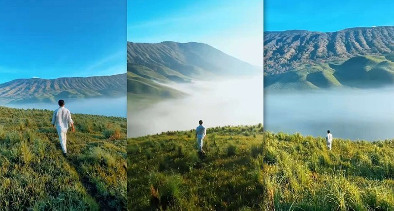 Pemandangan Padang Savana Kembali Hijau, Begini Cara Liburan Murah ke Bromo