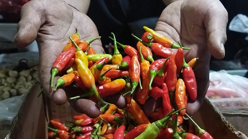 Stok Terbatas, Harga Cabai Rawit Merah di Malang Meroket Rp80.000 per Kg