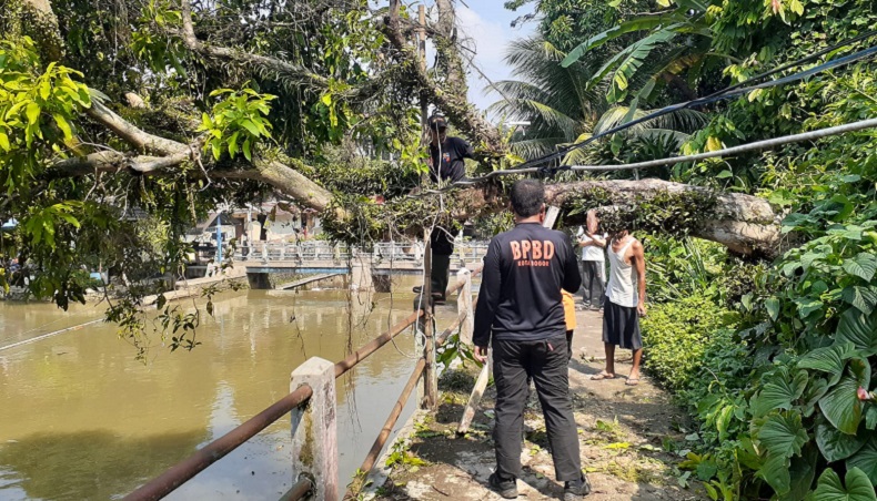 21 Bencana Landa Kota Bogor dalam Sehari, Paling Banyak Longsor dan Pohon Tumbang
