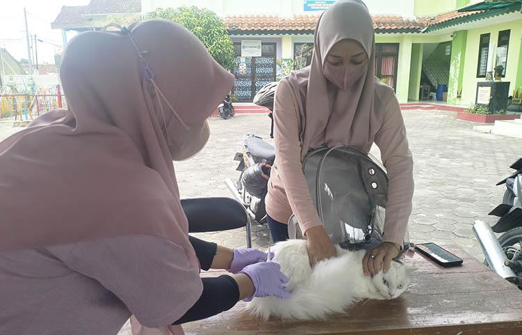 Siapkan 2.000 Dosis, Pemkot Jogja Gelar Vaksinasi Rabies Gratis 