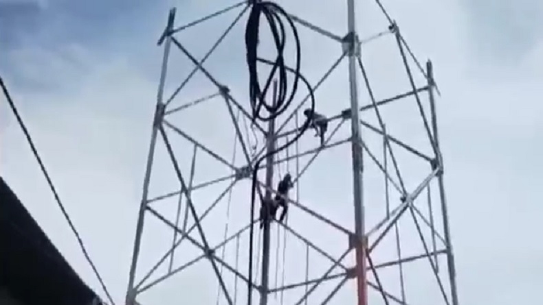 Panik Diguncang Gempa M6,6, Pekerja Tower di Ternate Jatuh hingga Tewas Mengenaskan