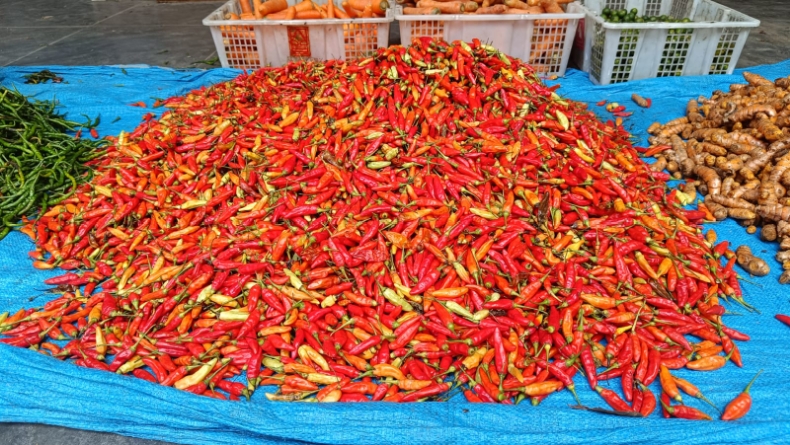 Harga Cabai di Bangka Barat Terus Meroket, Tembus Rp150.000 per Kilogram