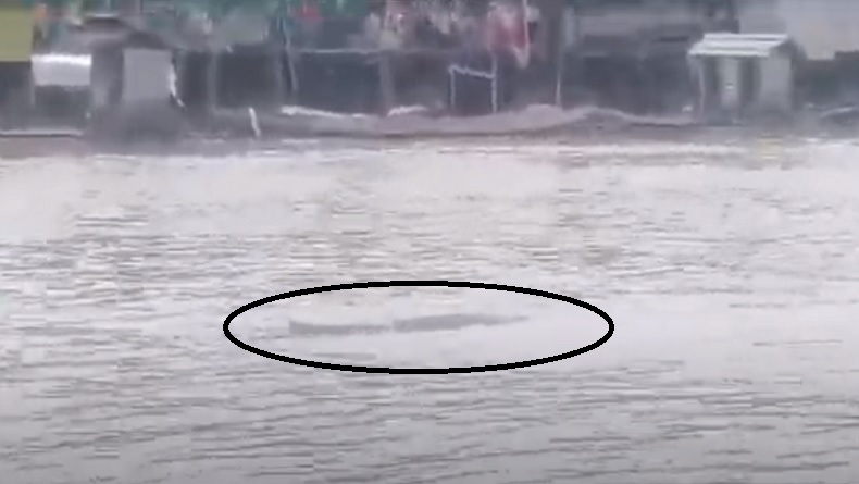 Kronologi Bocah Mandi di Sungai Arut Tiba-Tiba Diterkam Buaya, Langsung Ditarik ke Tengah
