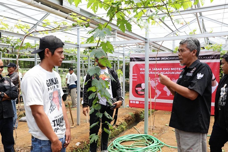 Relawan Ganjartivity Gelar Edukasi Penanaman Anggur untuk Bantu Ekonomi Warga di Sukabumi