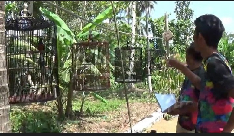 Kisah Waluyo, Sukses Dirikan Sekolah Burung Berkicau Beromzet Puluhan Juta Rupiah