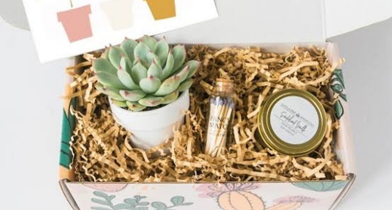 15 Hadiah untuk Dosen Pembimbing yang Berkesan, Ada Alat Musik hingga Obat Herbal
