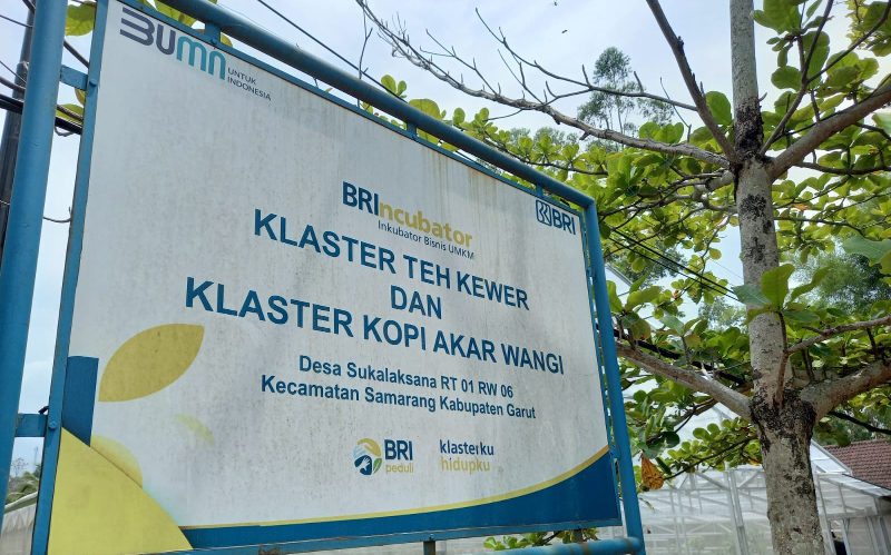 Klasterku Hidupku BRI Buka Jalan bagi Pelaku UMKM Kembangkan Bisnis
