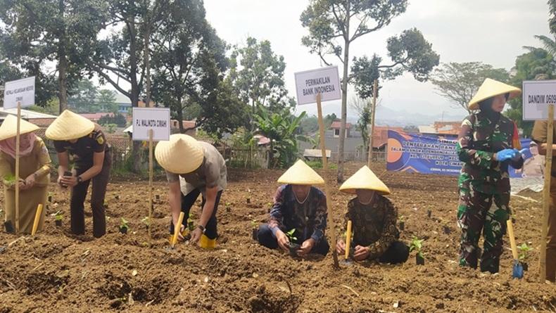 Lahan Terbatas, Pasokan Cabai di Kota Cimahi Bergantung ke Daerah Lain