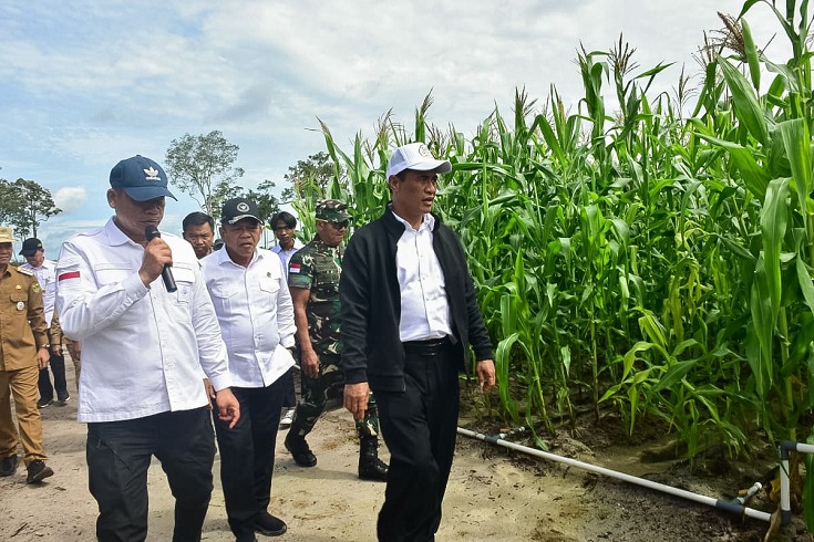 Kunjungi Food Estate di Gunung Mas Kalteng, Mentan: Ini untuk Masa Depan Anak Cucu Kita