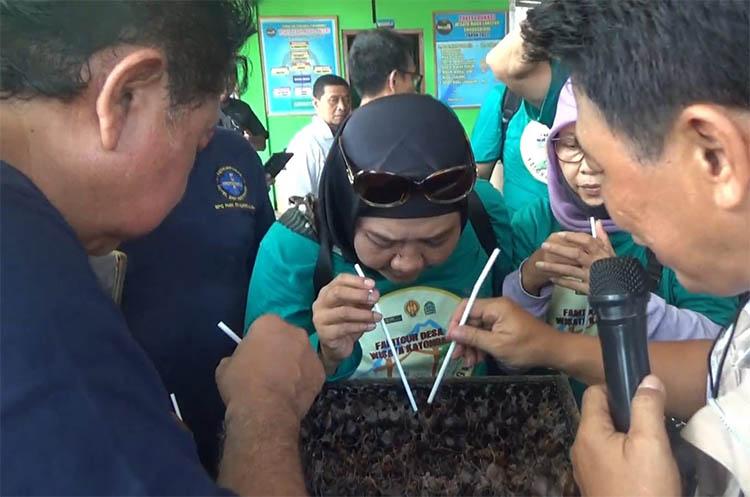 Unik, Warga Gunungkidul Kembangkan Wisata Sedot Madu Langsung dari Sarangnya