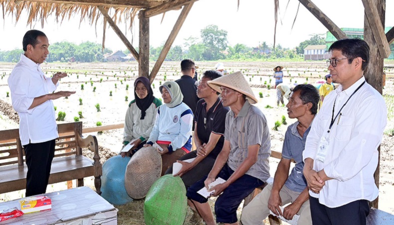 Jokowi Dorong Petani Mulai Tanam Padi, Maret atau April Panen