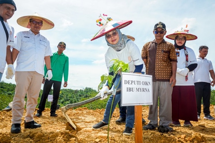 Manfaatkan Masuk Musim Hujan, Badan Otorita Mulai Tanam Bibit Pohon di IKN