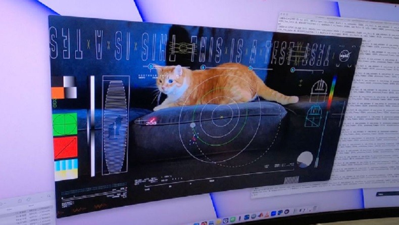 Dari Jarak 19 Juta Mil, NASA Berhasil Pancarkan Video Streaming Kucing ke Bumi 