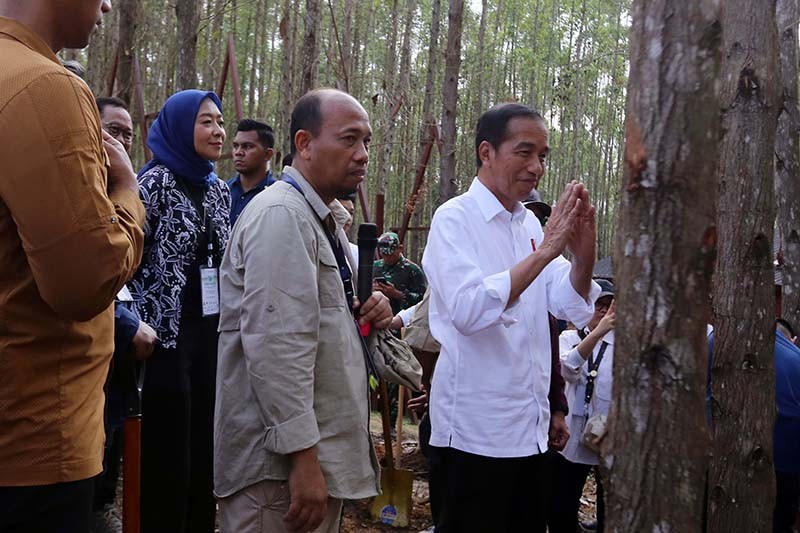 Jokowi Ingin Fresh Graduate yang Hebat-hebat Jadi ASN di IKN