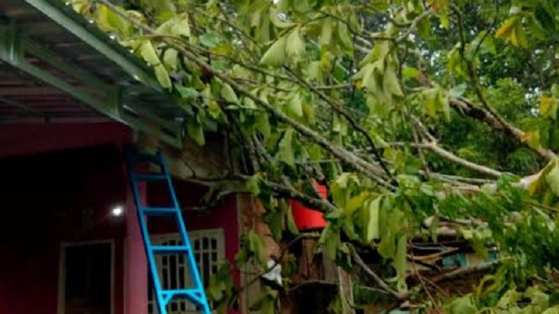Hujan Deras Disertai Angin Kencang, 97 Rumah di Kalipapan Lampung Rusak