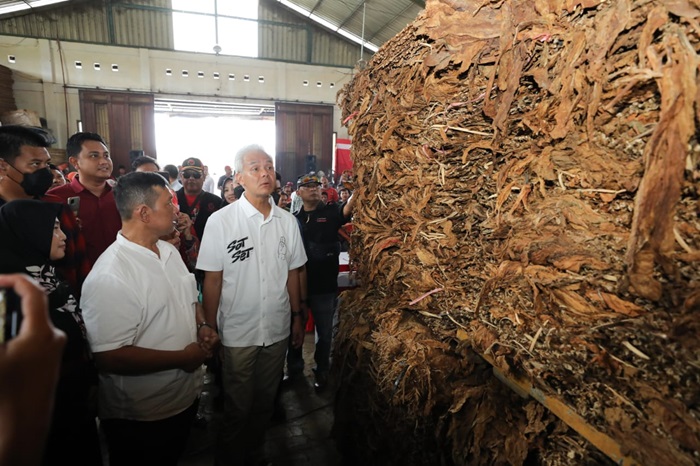 Peduli Petani Tembakau, Ganjar Pranowo Dukung Jawa Tengah jadi Pusat Tembakau di RI