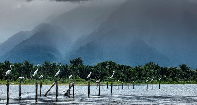 Kampung Unik di Papua Punya Danau Cantik di Dalamnya Tersembunyi Ikan Langka 