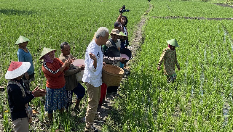 Kunjungi Blora, Ganjar Ikut Tebar Pupuk Bareng Petani