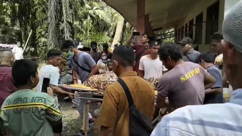 Kronologi Janda Dibunuh Tetangga di Madina, Dipukul Balok saat Bertamu lalu Diseret ke Parit