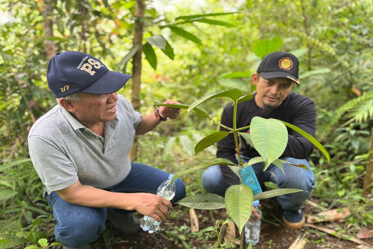 Kementan Tinjau Upland Project di Lebak Banten, Pastikan Program Berjalan