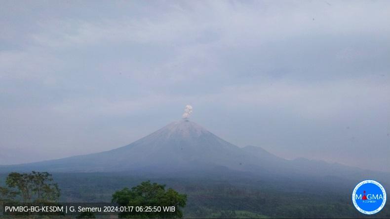 Gunung Semeru Erupsi Rabu Pagi, Tinggi Letusan 600 Meter di Atas Puncak
