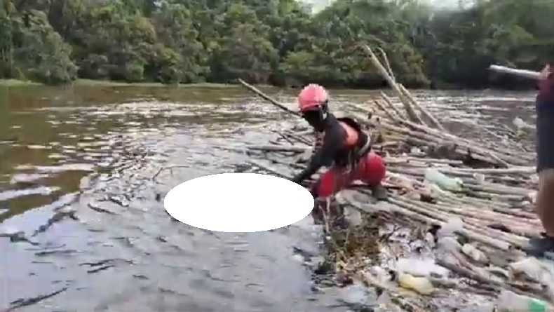 Hilang saat Cari Ikan, Nelayan di Ketapang Ditemukan Tewas di Tumpukan Sampah Kayu
