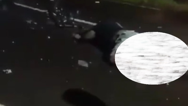 Truk Adu Banteng di Tikungan Sumber Canting Bondowoso, 1 Orang Tewas Mengenaskan